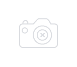 DEFROISSEUR MASTER VALET